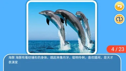 ��ͯ������������2026���°汾v4.6el �ֻ����ͼ