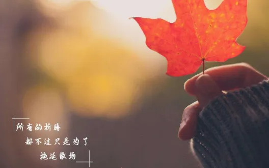 记忆备忘录2026最新版本 记忆备忘录2026最新版本