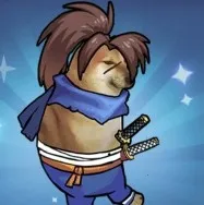 �޹��������������