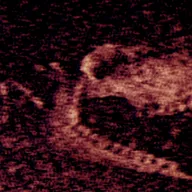 ����Steam��ֲ�����ֻ���v1.10 �ֻ���