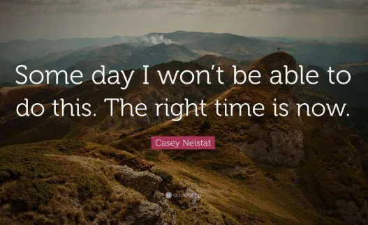 弹幕记忆2026官方正版 弹幕记忆2026官方正版