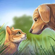 �ҵĶ�������2026�ٷ�����v1.0.1 �ٷ�����