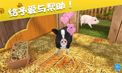 我的动物王国2026官方正版 我的动物王国2026官方正版