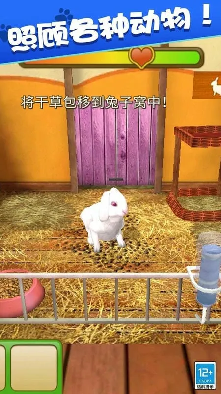 我的动物王国2026官方正版 我的动物王国2026官方正版