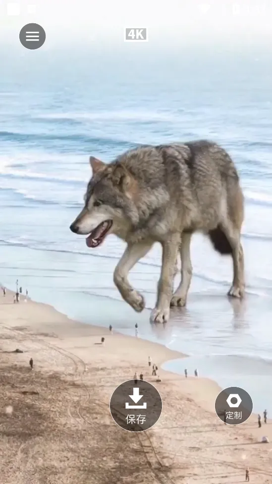 ��̩��̬��ֽ2026���ذ�װv1.0.0 ��׿���ͼ