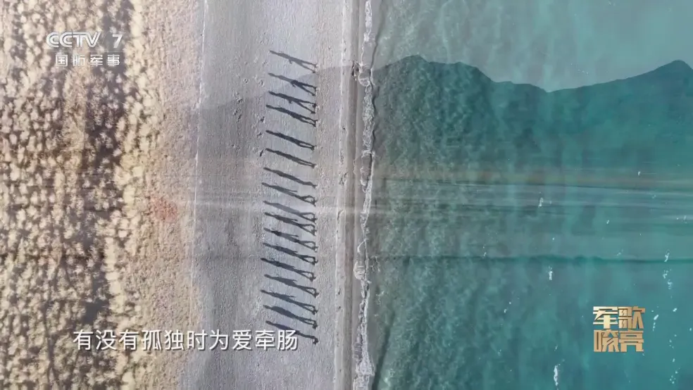 TV��Pro���߰�2026�ٷ����°汾v2.5.9 ��Ѱ��ͼ