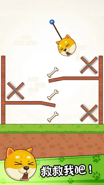 菜狗闯关2026下载安装 菜狗闯关2026下载安装