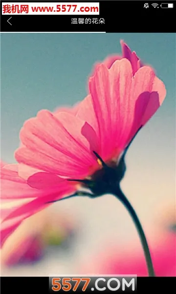 ��֮ͼ�����ֻ���v3.5.4 �ֻ����ͼ