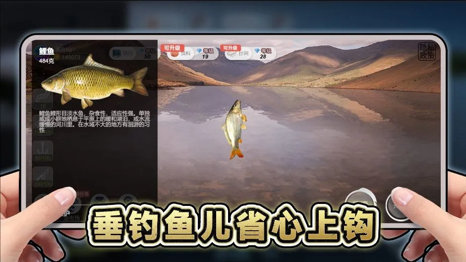 ���ε�����2026�ٷ�����v1.0 �ֻ����ͼ