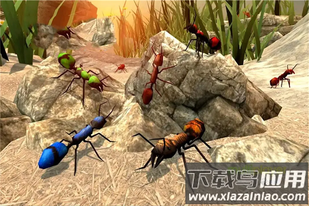 ȫԱ������֮������2026�ٷ����°汾v1.1 ��׿���ͼ