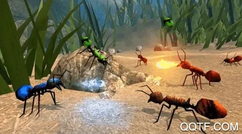 全员加速中之疯狂加速2026官方最新版本 全员加速中之疯狂加速2026官方最新版本