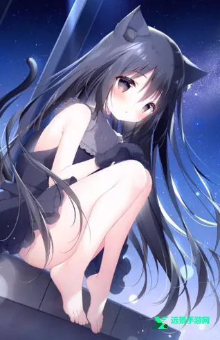 星空列车与白的旅行 星空列车与白的旅行