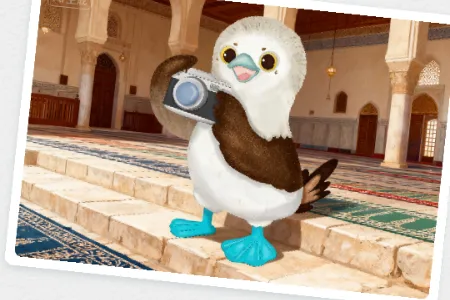 知啁Reso AI伙伴 知啁Reso AI伙伴