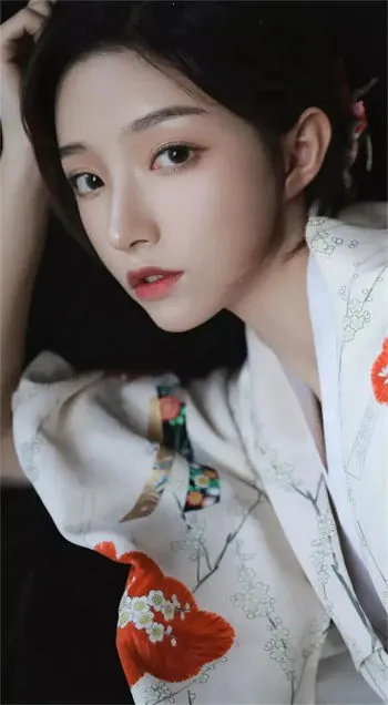 ��+ģ��v2025123101 �ֻ����ͼ