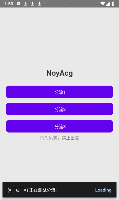 NoyAcg NoyAcg