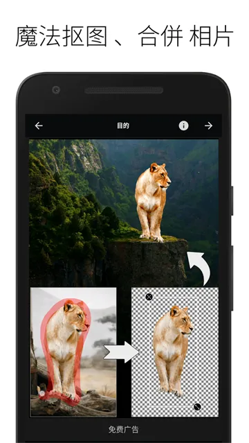 LightX2026���°汾