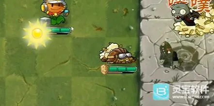 植物大战僵尸诸神版剑仙杨桃 植物大战僵尸诸神版剑仙杨桃