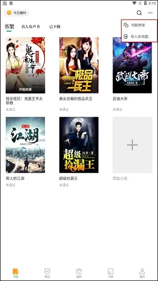 �����鼫�ٰ�(С˵�Ķ�����)