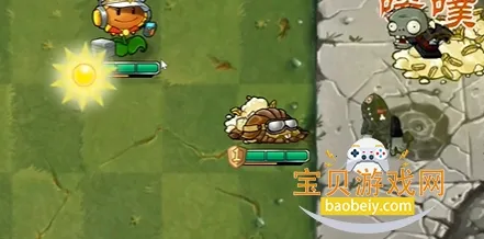 ֲ���ս��ʬ������ƽ��