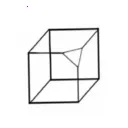 ��������(��ȤȦ�罻)v4.0.42 �ֻ���