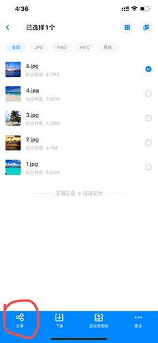 ��������2026�ٷ�����