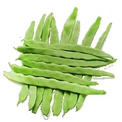 С�˶�2026���°汾v4.1 �ٷ�����