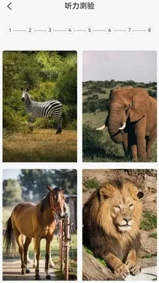 Ӣ��ּ���2026�ٷ����°汾v1.2.6 �ֻ����ͼ