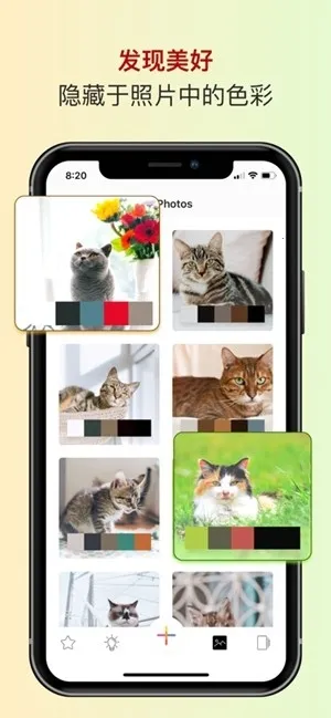 ɫ��ɫ�����������ֻ���v2.5.38 �ٷ������ͼ