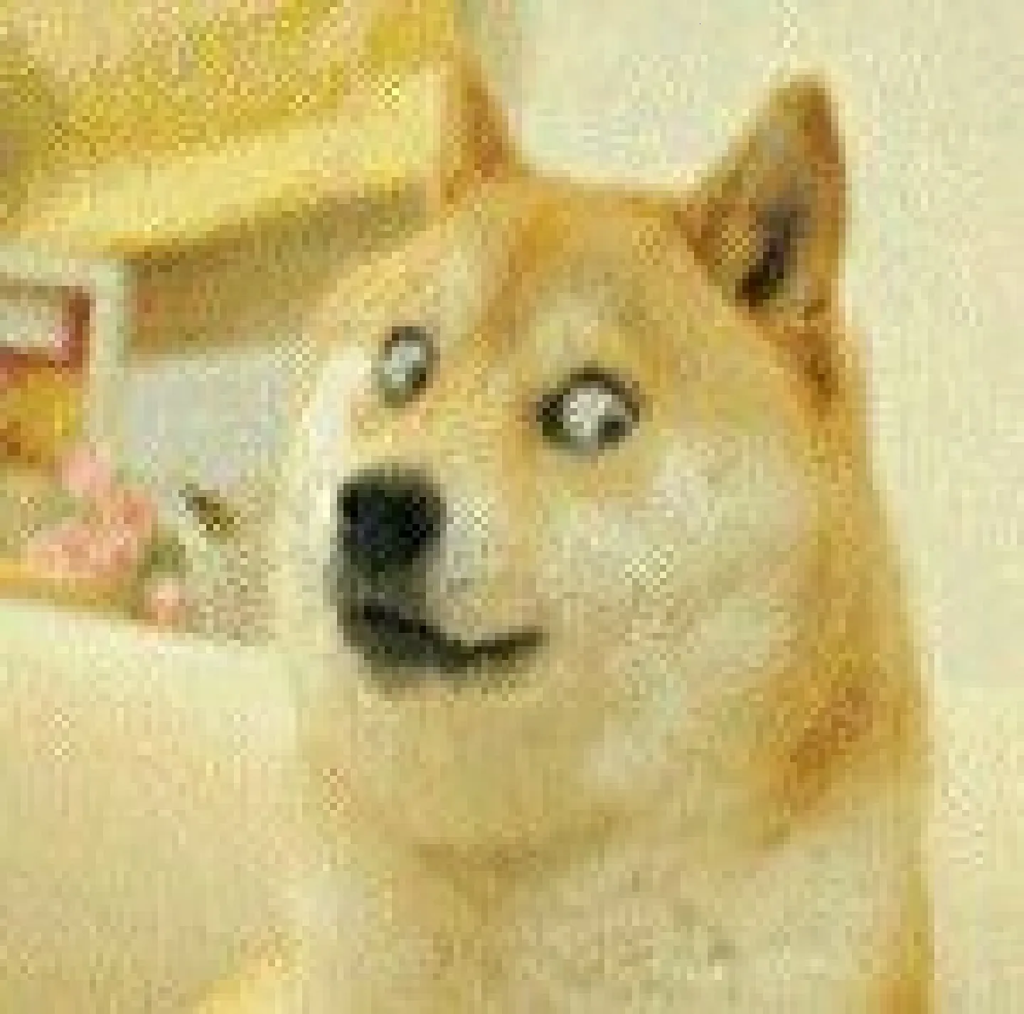 ������������׿���ֻ���