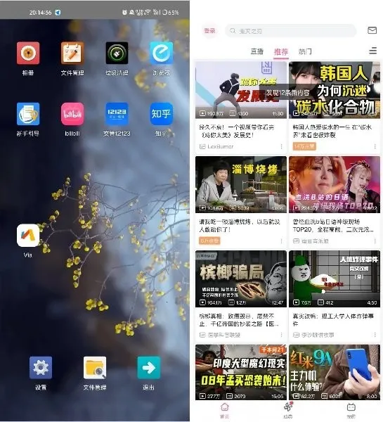 �������������VIP��