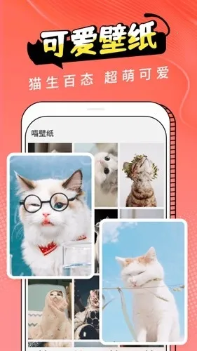Cat Translation��׿���ֻ���v3.1.5 ��Ѱ��ͼ