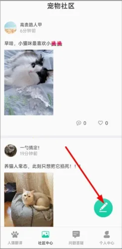Cat Translation��׿���ֻ���
