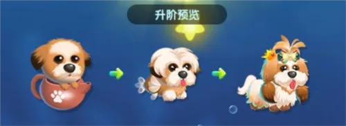 ���������ƽ�����޽����ʯ