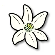 �Ȼ�ģ������׿���ֻ���v2123.3 �ֻ���