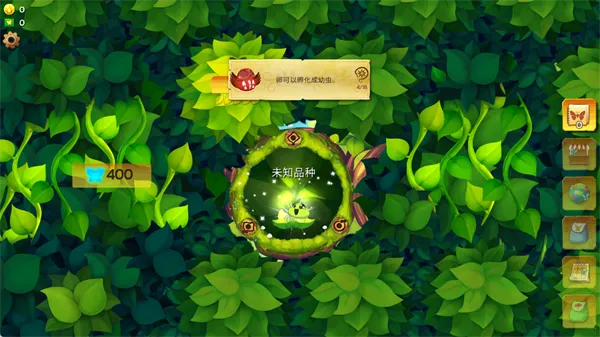 彩翼蝴蝶保护区全解锁版下载安装 彩翼蝴蝶保护区全解锁版下载安装