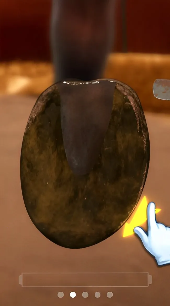 ����Ҳ��������ƽ��v1.0.0 �ٷ������ͼ