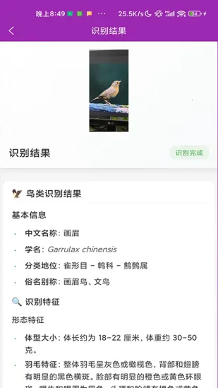 ʶ��2026�ٷ�����v1.1.0 ��Ѱ��ͼ