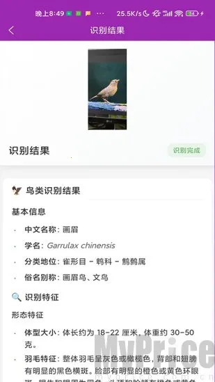 ʶ��2026�ٷ�����