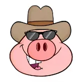 �˽������ⰲ׿���ֻ���