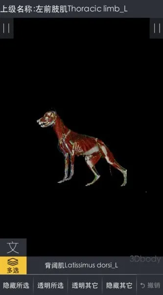 3dbody�������app