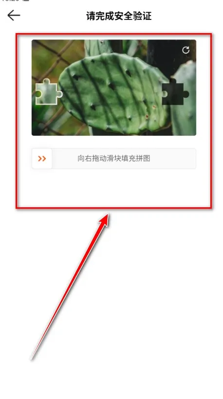 Kwai美国版 Kwai美国版