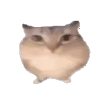 �ͰͲ�һ(�ͰͲ�һƽ̨)v1.0 �ٷ�����