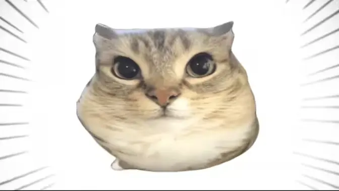 �ͰͲ�һ(�ͰͲ�һƽ̨)v1.0 �ٷ������ͼ