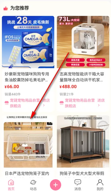 宠链宠物(宠物服务平台) 宠链宠物(宠物服务平台)