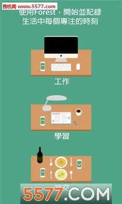 Forest2026�ٷ����°汾v1.0 ��Ѱ��ͼ