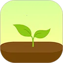 Forest2026�ٷ����°汾v1.0 ��Ѱ�