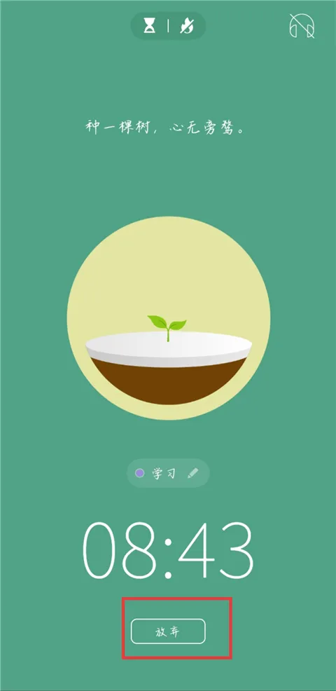 Forest2026官方最新版本 Forest2026官方最新版本