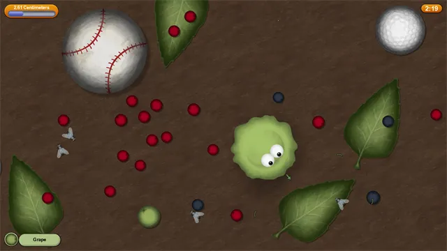 ��ζ���������