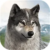 ��������(����Ľ�ɫ��������)