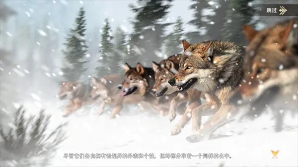 ��������(����Ľ�ɫ��������)